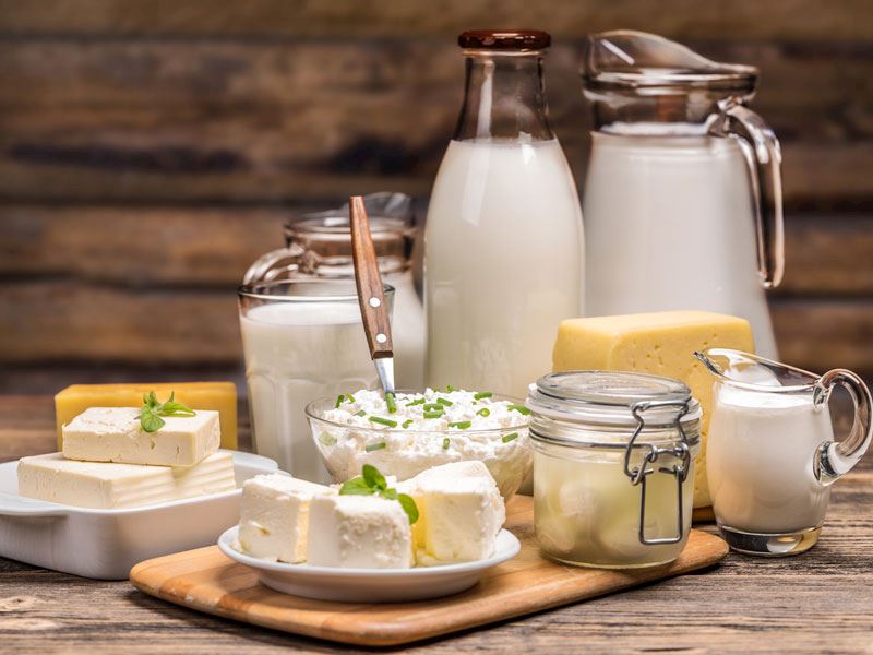 Süt Ürünleri